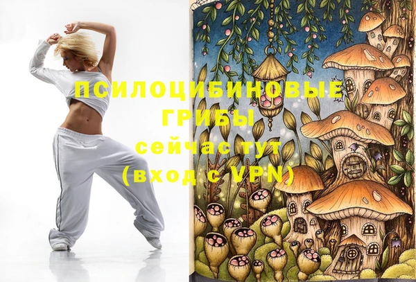 каннабис Аркадак