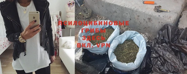 винт Армянск