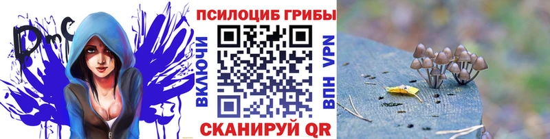дарк нет клад  где продают   Спасск-Рязанский  Галлюциногенные грибы GOLDEN TEACHER 